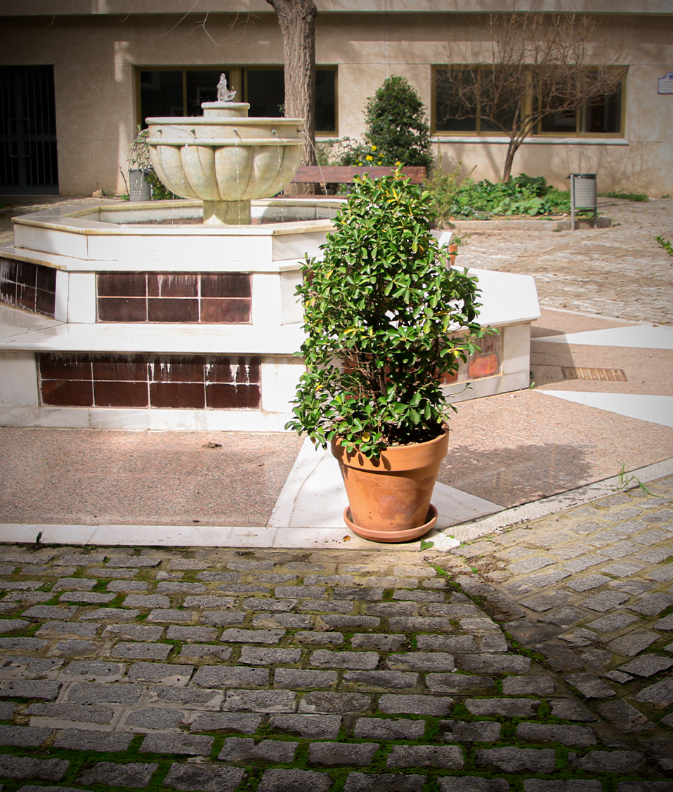 Fuente del patio interior del edificio San Jerónimo, donde está la Facultad de Trabajo Social y la de Relaciones Laborales y Recursos Humanos
